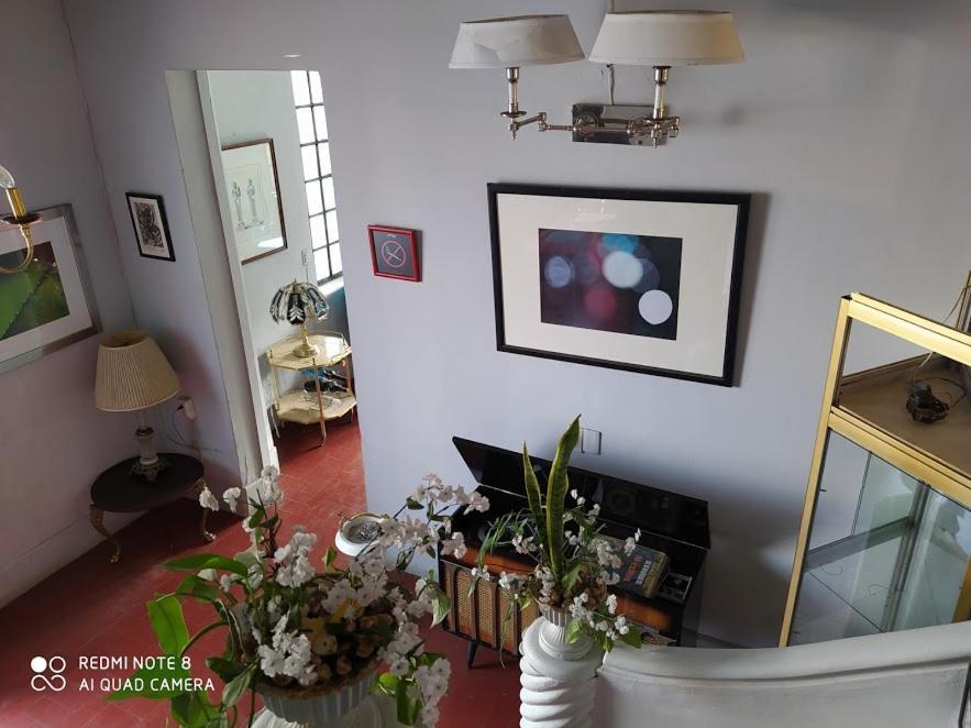 Casa Atenas Guadalajara Bagian luar foto